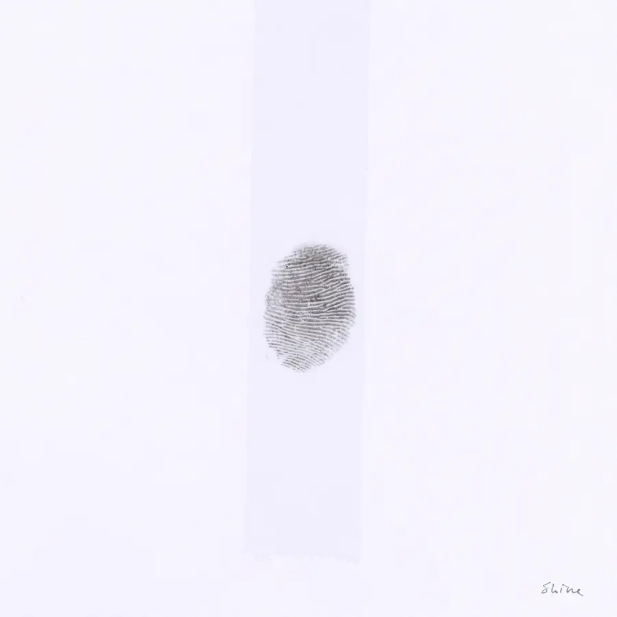 Tobias Jesso jr: shine